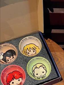 Harry Potter Underglaze Ceramic Bowls