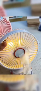 Quạt Tích Điện Bloomora Kẹp Bàn Mini Để Bàn Có Đèn Led Pin 5000 MHA Và 10000 MHA 5 Tốc Độ Gió Động Cơ Siêu Êm