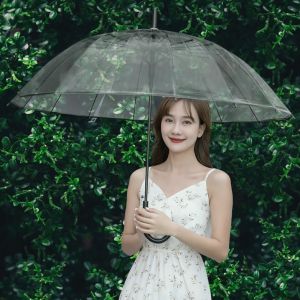 Thickened Long Handle Transparent Rain Umbrella for Women Automatic Large Size Student Double Person Extra Thick White Folding Umbrella