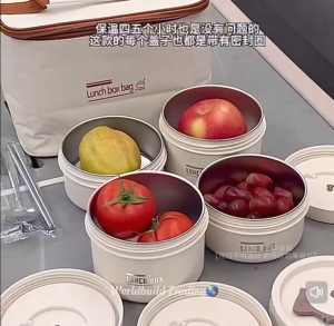 304 Stainless Steel Inner Lunch Box with Bento Bag Insulated for Students & Officers 2 Gird Food Storage Tableware