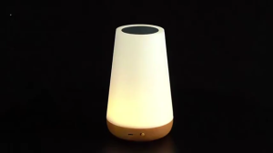 【🚀SG Fast Delivery】13 Color Changing Touch Night Light RGB Remote Dimmable USB Rechargeable