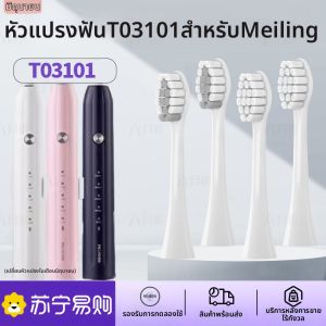 หัวแปรงสีฟันไฟฟ้าสำหรับผู้ใหญ่ ขนนุ่ม ดูแลเหงือก หัวเปลี่ยน ผลิตจากไนลอน ผลิตในจีนแผ่นดินใหญ่ หัวแปรงสีฟันไฟฟ้า Meiling T03101