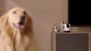 TP-Link Tapo 2K QHD Pan/Tilt AI Home Security Wi-Fi Camera CCTV (Privacy Mode / Color Night Vision / AI Detection)