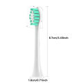 Replacement Toothbrush Heads Compatible with Philips Sonicare Soft Replacement Electric Brush Head 4100 6500 6100 7500 5300 1100. 