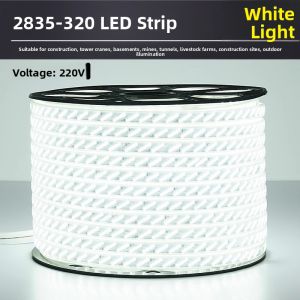 PAIMIJI | Waterproof LED Light Strip 100m