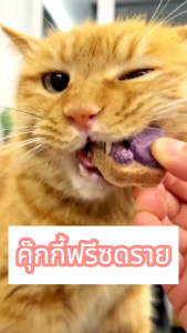 ขนมแมว อกไก่ผสมต้นอ่อนข้าวสาลีฟรีซดราย (หญ้าแมว) 80g ขนมฝึกแมว กระตุ้นความอยากอาหารของแมว ขนมแมวฟรีซดราย Cat Grass