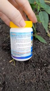 VUA RA RỄ 12-6-8+TE THÍCH HỢP SỬ DỤNG CHO LAN MAI CÂY KIỂNG