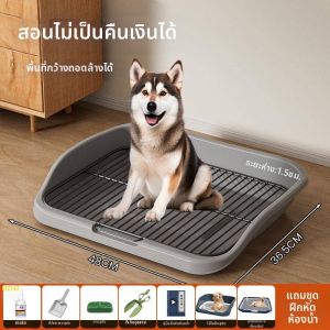 YUXUAN | All Sizes Dog Urinal Tray Easy Cleaning
