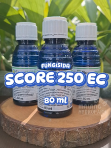 Fungisida Score 250 EC 80 ml pestisida obat kontak fungi hama jamur hidroponik sayur busuk pestisida sistemik difenokonazol syngenta