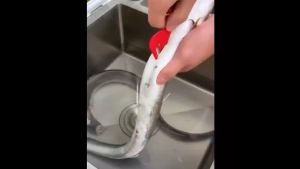 Pisau Pembersih Usus Serbaguna Praktis Efisien Murah