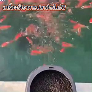 Bonetar ครื่องให้อาหารปลาอัตโนมัติ BT-008 2in1 Feeder เครื่องให้อาหารปลาอัตโนมัติ 10ลิตร ระบบอัจฉริยะ จัดการอาหารปลาสำหรับตู้ปลาและแท็งก์ปลา ปลาทะเลและน้ำจืด
