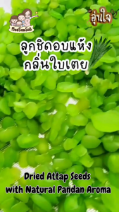 500g Pandan Flavours  ลูกชิดอบแห้งรสใบเตย Dried Attap seed / sugar palm seed / Buah kabung