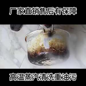 Sofa Steam Cleaner Steam Mop High Pressure Steam Cleaner Steamer Cleaner Floor Steamer Housekeeping Cleaning Marvelous Sterilization Equipment