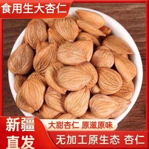 Specialty South Apricot Nuts Unsweetened Original Flavor Large Fruit Apricot Snacks 500g Bulk Packaged Xinjiang Product