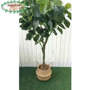 Pohon Hias Artificial Mangkokan X4 T140 Semi Latex Cover Pot Purun Belly Small Hiasan Caffe Aesthetic