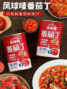 Non-GMO Phoenix Earth Tomato Dices 400g Canister for Stir-Fry Home Use Tomato Paste Kitchen Condiment from Guangdong China