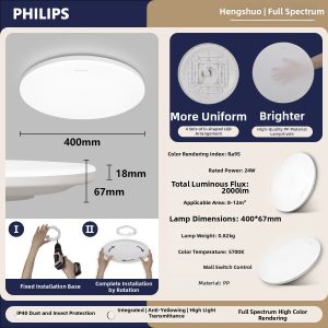 Philips | Modern Minimalist Ceiling Light