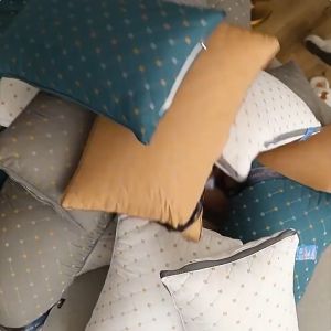 【Buy 1 take 1】Authentic Hilton Pillow High Quality 800g Antibacterial soft and non-deformable High Quality Five-star Hilton Hotel Home Pillow Premium Alternative Down Fiber Soft 100% Cotton Fabric 19*29 Inch(48*74cm)