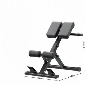 OUYUENI | Professional Multi-functional Roman Chair for Abdominal and Back Training