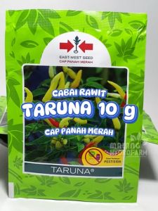 Benih Cabai Rawit Merah Taruna: Biji Unggul & Bibit Hidroponik