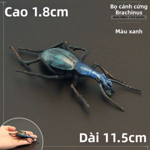MENGSILE | Mô Hình Đồ Chơi Côn Trùng Thực Tế