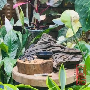 Lư Đài Sen Xông Nhang Trầm Hương Trang Trí Không Gian Thờ Cúng Trà Đạo