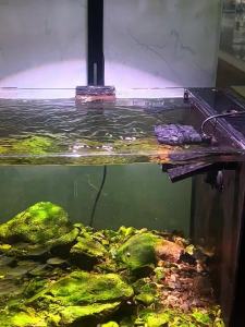 sunsun | Super Quiet Magnetic Base Wave Making Pump
