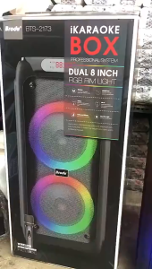 BTS-2175 3000mAh 10X2 inch Wireless Subwoofer Bluetooth Speaker with Rechargeable Wireless karaoke Mic