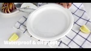 (50 pcs) MD MOHS DIAGNOSTICS 7 9 10 inches Sugarcane Bagasse Round Plate