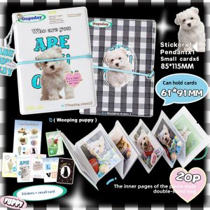 OOPSDAY Accordion Card Album Instant Photo Storage Mini Series for Fan Photos Postcards One Grid Layout Cultural Supplies