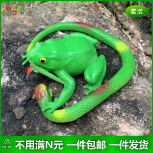 Soft Rubber Simulation Snake Frog Simulated Snakes Green Snake Kindergarten Kids Play House Cognitive Puzzle Scary Fake Animal Model