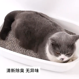 10 KG PASIR KUCING HAMSTER ZELOIT NO 1 UKURAN 1 kg