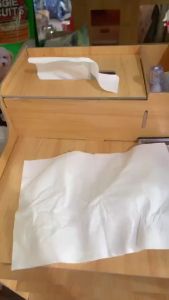 Native Wood Pulp Facial Tissue Interfolded Paper Tissue 3Ply