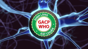 Hoạt huyết dưỡng não Traphaco Giúp tăng cường lưu thông máu não giảm đâu đầu chóng mặt- hộp 100 viên