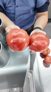 Máy thái rau củ quả công nghiệp đa năng thái lát thái sợi thái hạt lựu. Thương hiệu Mỹ cao cấp Septree - GJ808. BH 1 Năm
