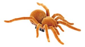 Interactive Electric Cockroach Spider Cat Toy Battery-Operated Vibrating Insect Chase Toy for Cats Funny Pet Toy & Joke Gift