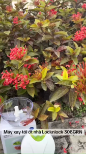 Xay tỏi ớt LocknLock dụng cụ xay nhỏ thực phẩm CKS308GRN