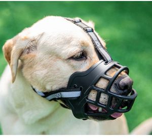 DearPaws Reflective Adjustable Dog Muzzles – Anti-Biting & Anti-Barking Breathable Mesh Mouth Cover for Small & Medium Dogs – Soft Rubber Padded Secure Fit (6 Sizes)
