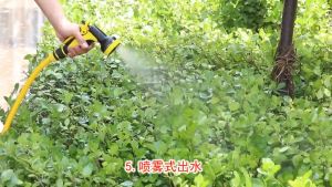 50m 30m 20m 10m Garden Hose Water spray gun Multi function Multiple mode adjustment Water Pipe PVC