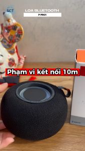 ( SALE 50% ) Loa Bluetooth JBL P Pro 1 - Nhỏ Gọn Công Suất 10W  Âm Thanh Hay  Kháng Nước IP67 Cho Âm Thanh Sống Động Pin Nghe 4-6h