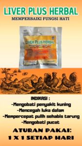 Liver plus herbal 1 RENTENG - mengobati ayam pucat