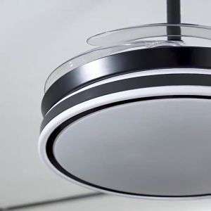 Modern remote control ceiling fan ceiling light 42 48 inch gold and silver Led LED living room Kitchen bedroom