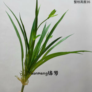 Floral Green Plant Wallpaper Simulated Orchid Soft Decoration Plant Wall Water Grass Thin Grass Orchid Leaf Home Decorations