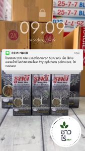 500 มิลลิลิตร น้ำยาเร่งราก รูทดี ทา จุ่ม ฉีดพ่น ช่วยการแตกรากพืช กิ่งปักชำ, กล้วยไม้, แปลงกล้าไม้, ข้าวเปลือก, พืชไร่, ไม้ดอก, ไม้ผล พืชทุกชนิดรากแข็งแรง รากงอกเร็ว