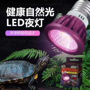 Energy-Saving LED Night Light for Reptiles And Amphibians Moonlight Simulation Lighting for Pet Care Boxes Suitable for Frogs Geckos Lizards