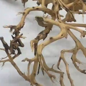 Hawaiian Driftwood for Aqua Scaping Fish Tank Set Up