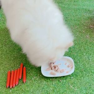 Snack anjing vitamin makanan Kucing anjing 15gram sosis Makanan Makanan hewan peliharaan yang bergiz