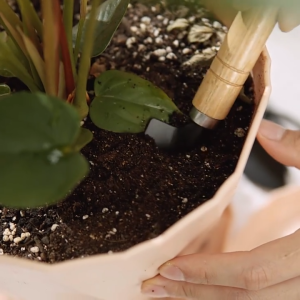 Garden Tool Set 3Pcs Gardening Tools Set Plant Home Use Shovel Spade Rake Planting With Wooden Handle Menanam Alatan Tanam Pokok 园艺工具套装