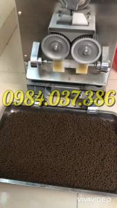 Máy Làm Viên Hoàn Thuốc Đông Y Tự Động 2 line AW95S