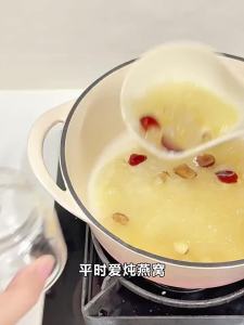 Ankou | Heat Resistant Steaming Birds Nest Stewpot